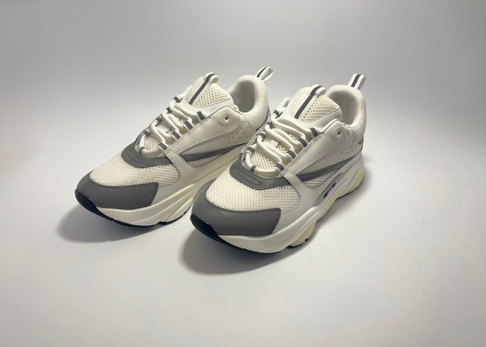 Christian Dior | B22 White Silver